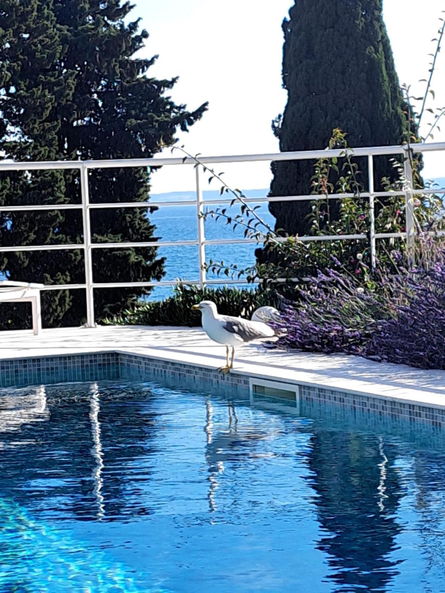 Apartment With Private Pool スプリト エクステリア 写真